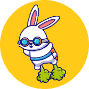 Astro Bunny