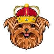 Billionaire Doge