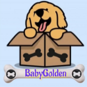 BabyGolden