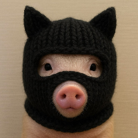 PIGWIFMASKONSOL