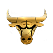 NBA BULLS