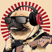RockStarDOGE
