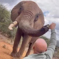 BeerPhant