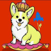 Safe Doge Inu