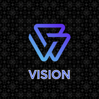 VISION BSC