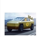 TeslaDoge