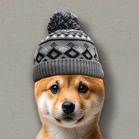 shibwifhat