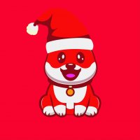 Shiba Claus