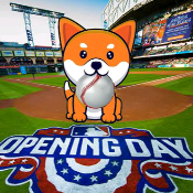 Minibaseball