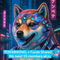 Ton mining group