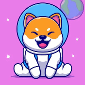 BabyShibaInu