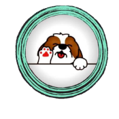 Shih Inu