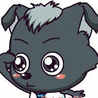 pyeDOG