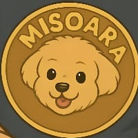 Misoara