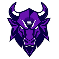 SOL BULL