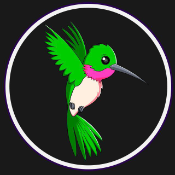 Baby Hummingbird