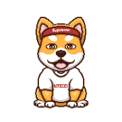 SupremeDoge