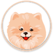 SpitzDoge