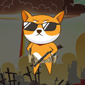 DogeAfghan