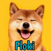 Floki