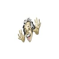 Einsteinereum