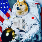 DogeArmstrong
