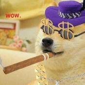 PimpDaddyDoge