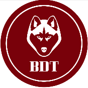 Big Doge Token