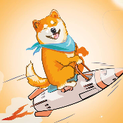 ShibaSpaceX
