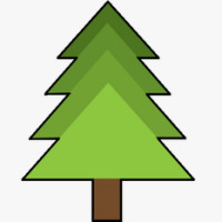 Pine Token