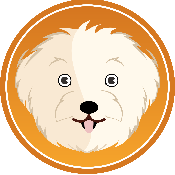 Maltipoo Token