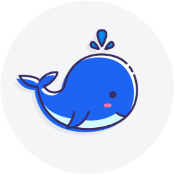 Little Whale Finance