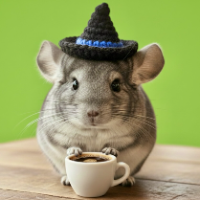 Chinchilla Hat On