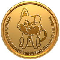 HACHIKO INU V2