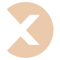 Metaverse X