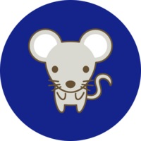 Little Rat