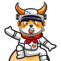SpaceXFloki
