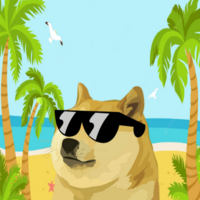 Summer Doge