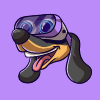 wienerdog
