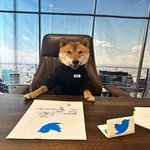 Signature:_*_*_ Name: Floki Title : Ceo