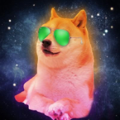 UNIDOGE