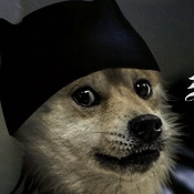 Snoopdogge