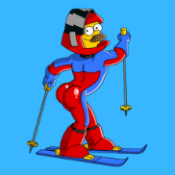 Stupid Sexy Flanders