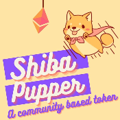 Shiba Pupper