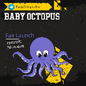 Baby Octopus