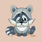 LITTLE RAKOON