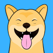 IdiotShiba