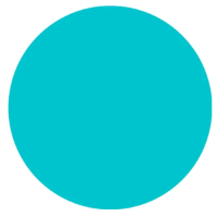 Canva Coin
