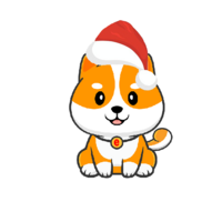 Floki Santa
