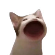 Popcat Second Chance